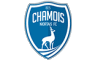 Logo Chamois Niortais FC